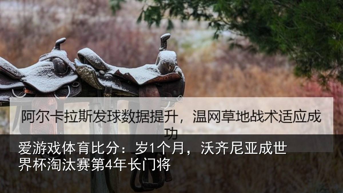 爱游戏体育比分：岁个相关情况杯淘汰赛第4年长门将